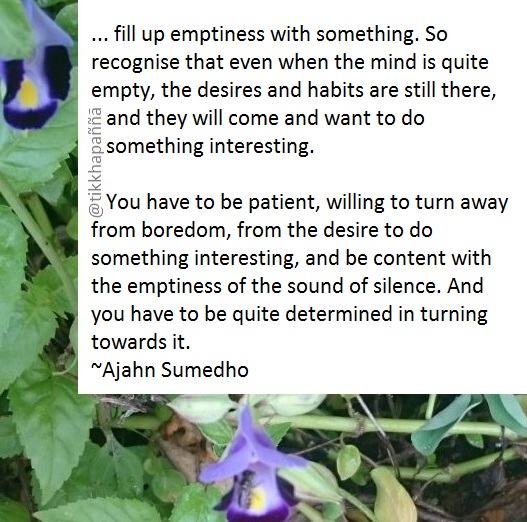 tikkhapanna's tweet photo. One problem with meditation is that many people find it boring. People get bored with emptiness. They want to ...
#Buddhism #meditation #mind #Dhamma #Theravada https://t.co/aFnNx9NBr4