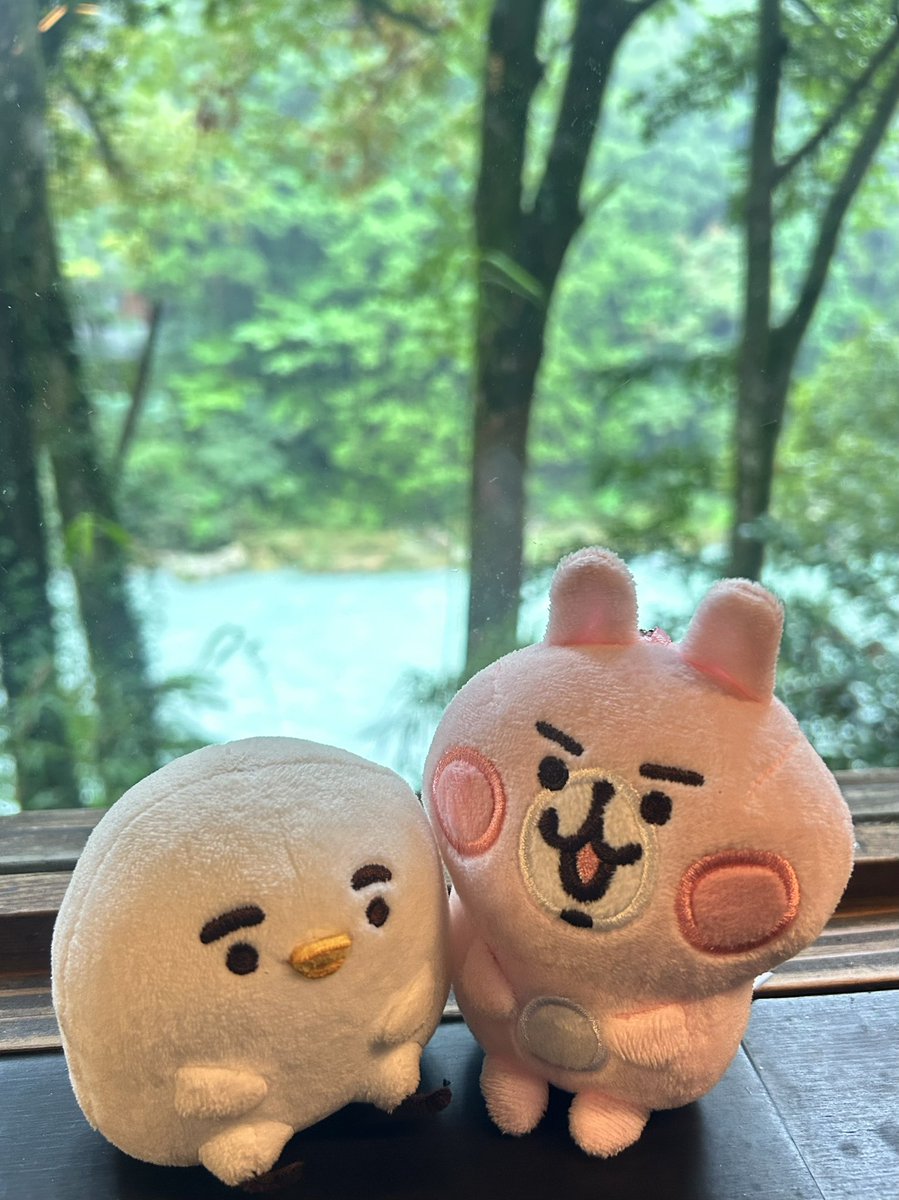 piskenosuke's tweet photo. 少し緑の多い場所でリラックス😄👍😊 https://t.co/n5x8iaaC3L