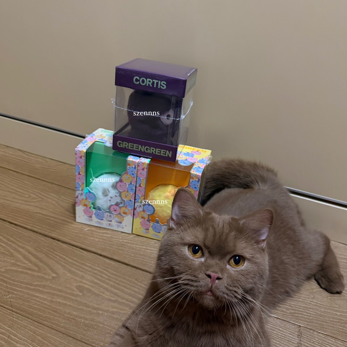 szennns's tweet photo. #corsell wts corball acai, corball birtday pastel white, dan yellow ready ina. hmu yaa yg minat 🫰🏻

📍jakarta barat https://t.co/1UxZCD9ivZ