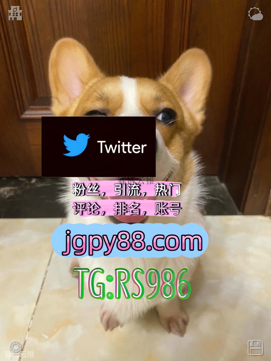03Mkm's tweet photo. 把烦心事��丢掉让阳光和温暖住进来🌤
推特账号购买排名号 
海外获客🌺互推助手🎌数字货币🍁 推特软件 项城上热门
推特矩阵管理、营销自动化、内容运营牡丹江 海外流量、品牌推广、社媒营销
注册号内江 软件获客、海外推广、流量增长👶 https://t.co/NjWSIUFTtA