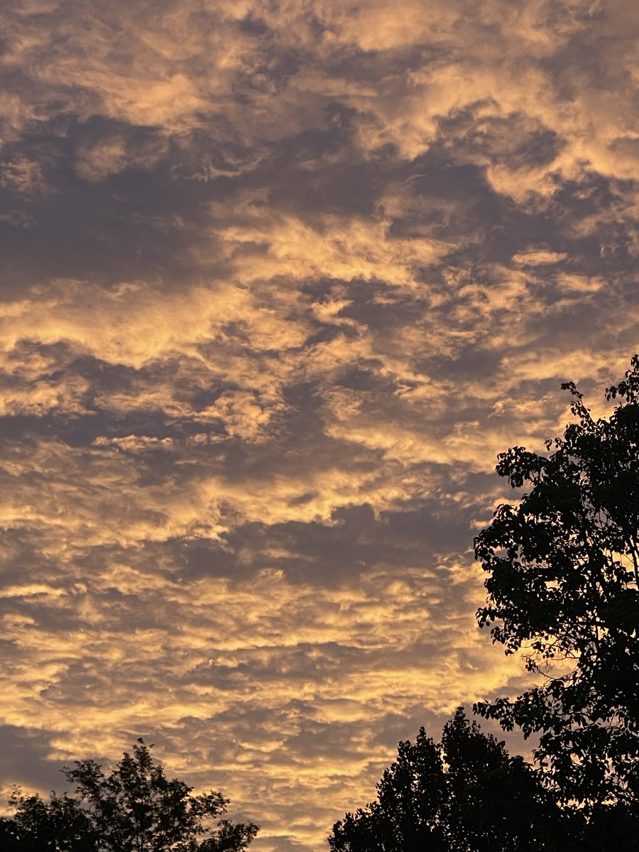 Forecaster's tweet photo. I will never tire of clouds at dusk and dawn. https://t.co/RS82X57xpY