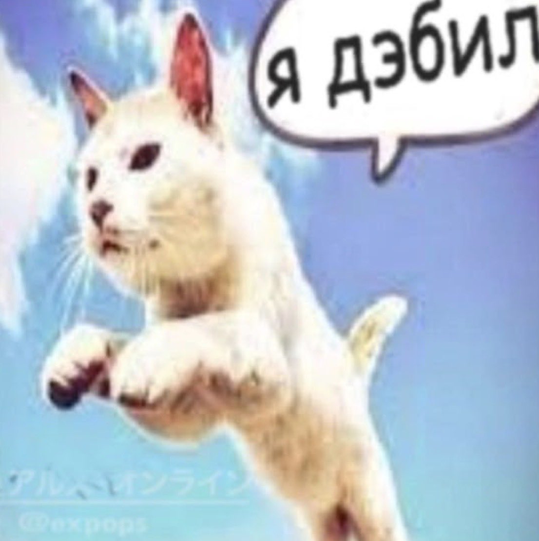 Serioper8c5e's tweet photo. Это было слишком тупо https://t.co/cm8XbG2lhR