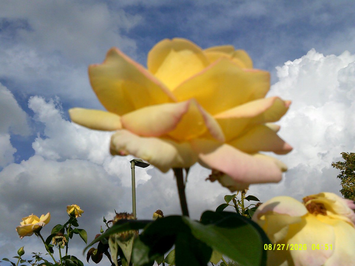 littlemore20's tweet photo. todays theme is #UpliftingColours https://t.co/z91qtLvbFN