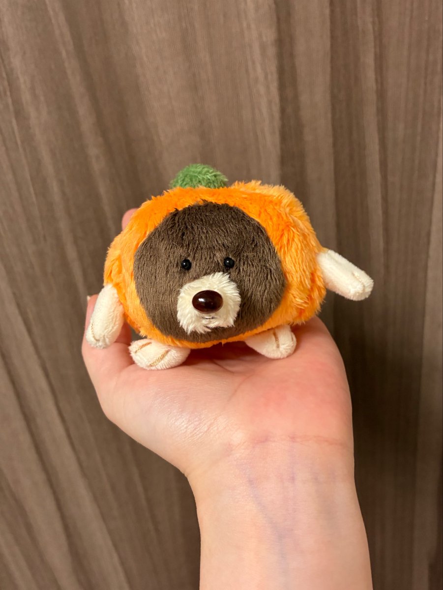 hicochiman's tweet photo. かぼちゃのもぐら「もぐちゃ」🎃
いもぐらの仲間🍠🎃 https://t.co/HnaOkaK5nP