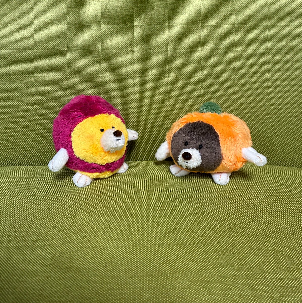 hicochiman's tweet photo. かぼちゃのもぐら「もぐちゃ」🎃
いもぐらの仲間🍠🎃 https://t.co/HnaOkaK5nP