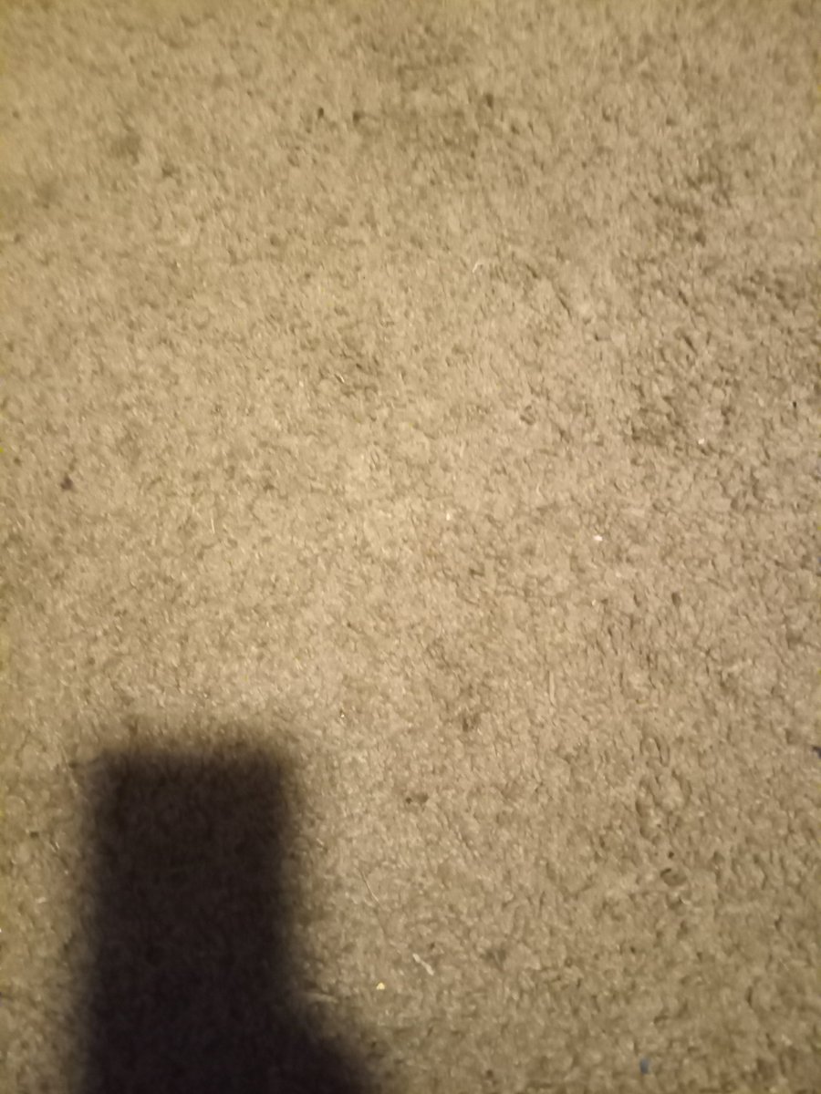 ValenciaDodds's tweet photo. I know . It's not real 
Because  I see  a huge Amazon  centipede.  Right  there . In  the floor 
But  no one. Is panicking 
That  lets  me know 
It's not . Real https://t.co/ta9Kffg1Tp