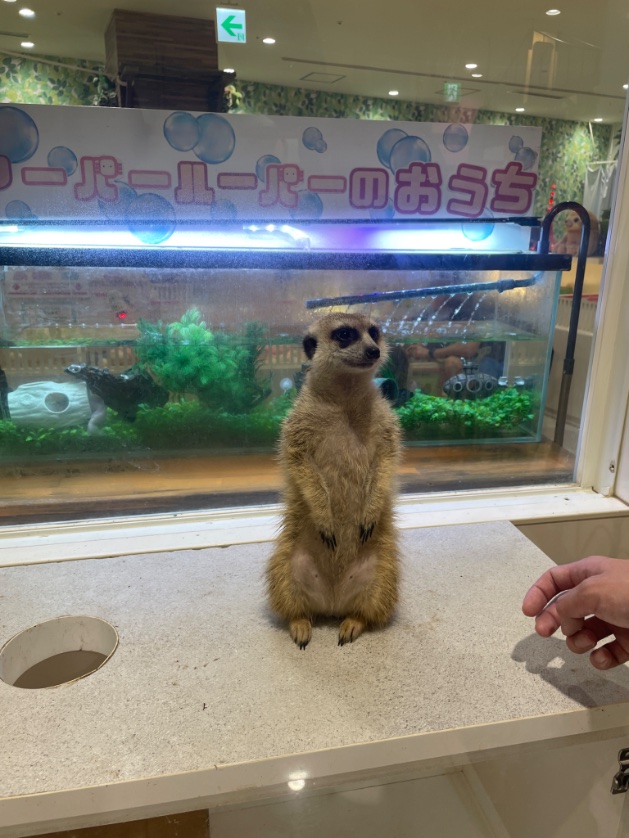 miya_dayoo's tweet photo. 本日 https://t.co/xUrR9LQ0gD