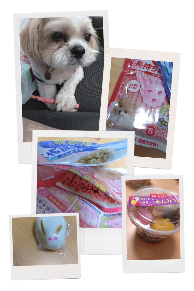 R77115232's tweet photo. ゆめのさん、こんばんわんこ🐕️
このガムのピンク色パッケージ🐶✨
今週もよろしくだワン🐾
#nfood #dfood #nf795 https://t.co/jCvlM3BcCD