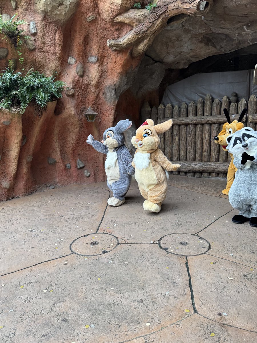 tonsukedam's tweet photo. ディズニー3日目はランドでハロウィーン👻🦊🐰🐭🐶🦝🎃
#ディズニーハロウィン https://t.co/vycTwJEj7V