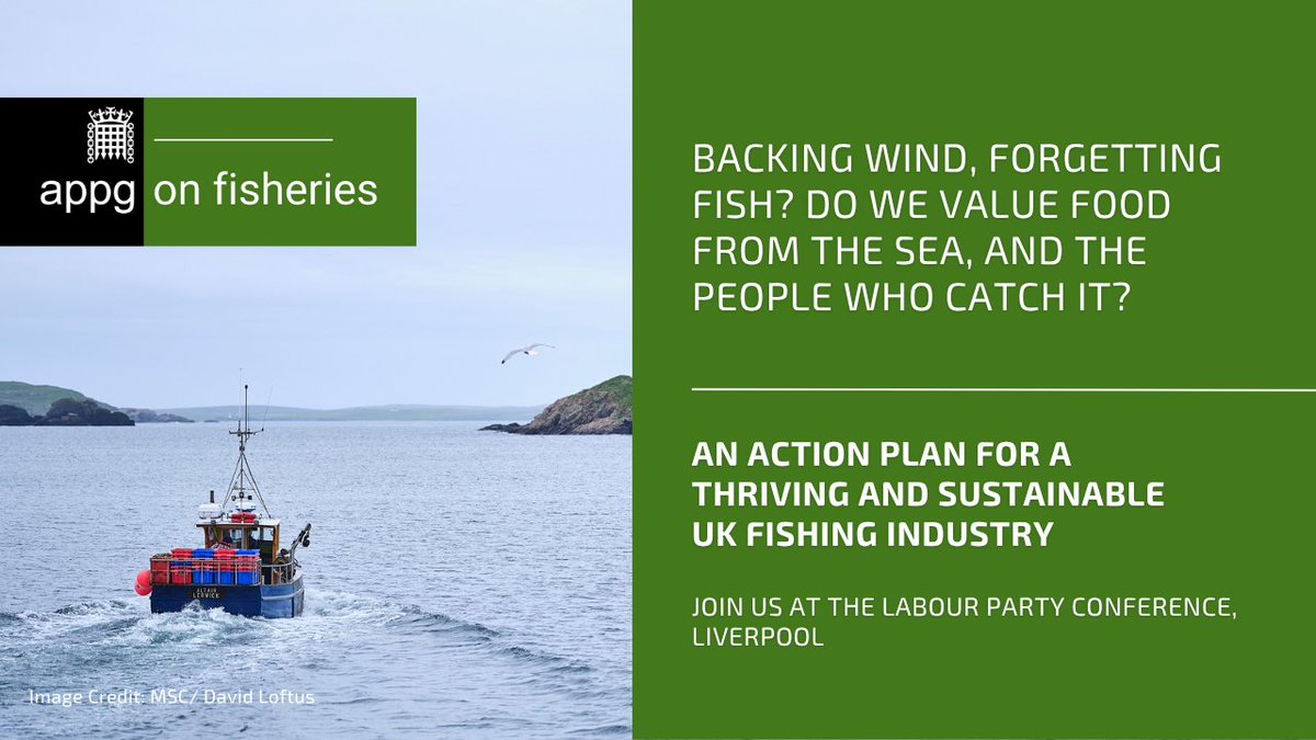 fisheriesappg's tweet photo. This Monday at #LabourPartyConference: Backing Wind, Forgetting Fish? Government backs renewable energy from our seas – why not the food from the same water, and the people who catch it? Join @melanie_onn with @NFFO_UK  & Elaine Whyte (@CFAScot/ @cft_scot)

Mon 28 Sep, 09:00 | Arden Events Lounge (Secure Zone) | All pass-holders welcome

https://t.co/05R7FYfV6x