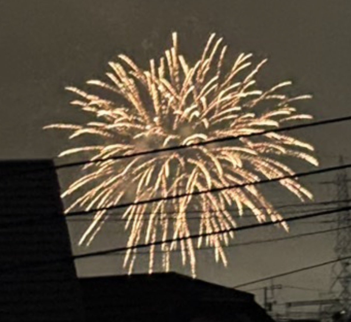 sato_yanpi's tweet photo. 家から見えるの助かる🎇 https://t.co/SEqV35XAoL