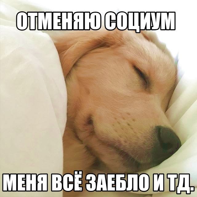 Lapa35853692848's tweet photo. сука спавьб https://t.co/pm1Bah7JEX