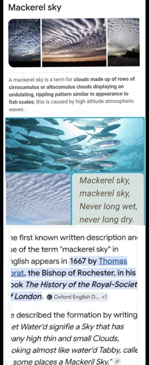 GrammarPolice7's tweet photo. @ABridgen That's a common mackeral sky described as early as the 17th century. https://t.co/Pi72SWxDhS