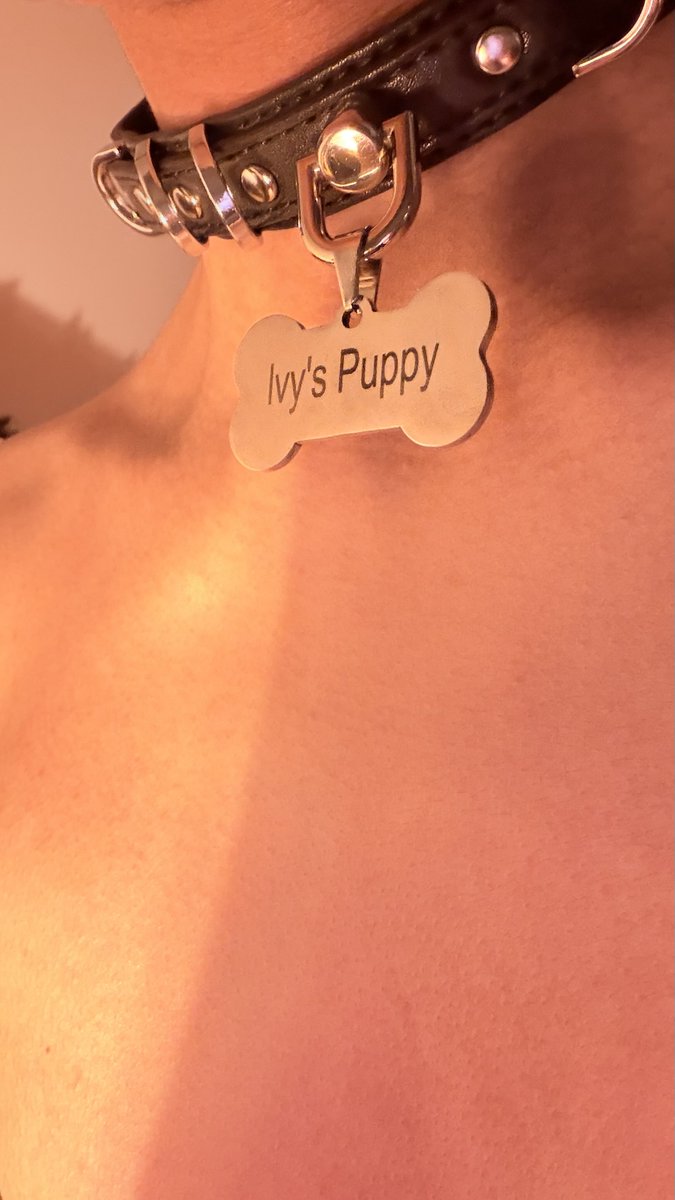 puppyBoyJean's tweet photo. I wasn’t kidding 🤭 @MommyIvySc https://t.co/CIN3IWjA8q