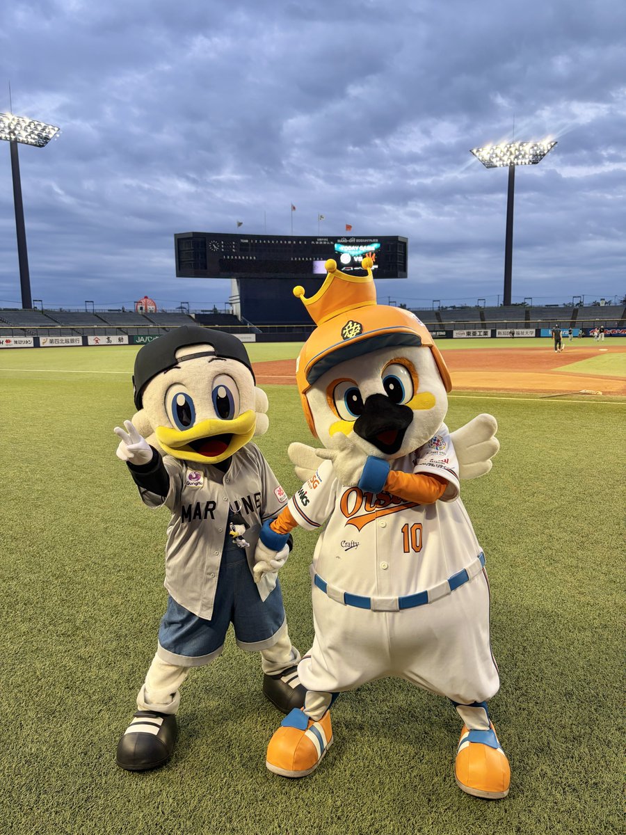 chibalotte_mar's tweet photo. ハードオフエコスタジアムにいがたにきたよ🌾 アルファくんといっぱいあそぶ☆  ズーちゃんより☆  #chibalotte #zu_chan https://t.co/gh6kiuzAB2