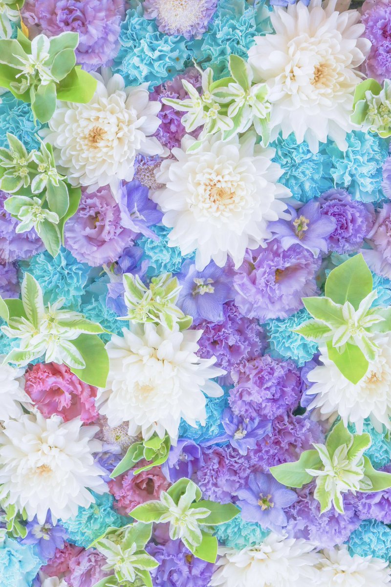 66___boc's tweet photo. あなたと、あなたの大切な人が
この先ずっと幸せでありますように🫧 https://t.co/CeRIBU9ssl