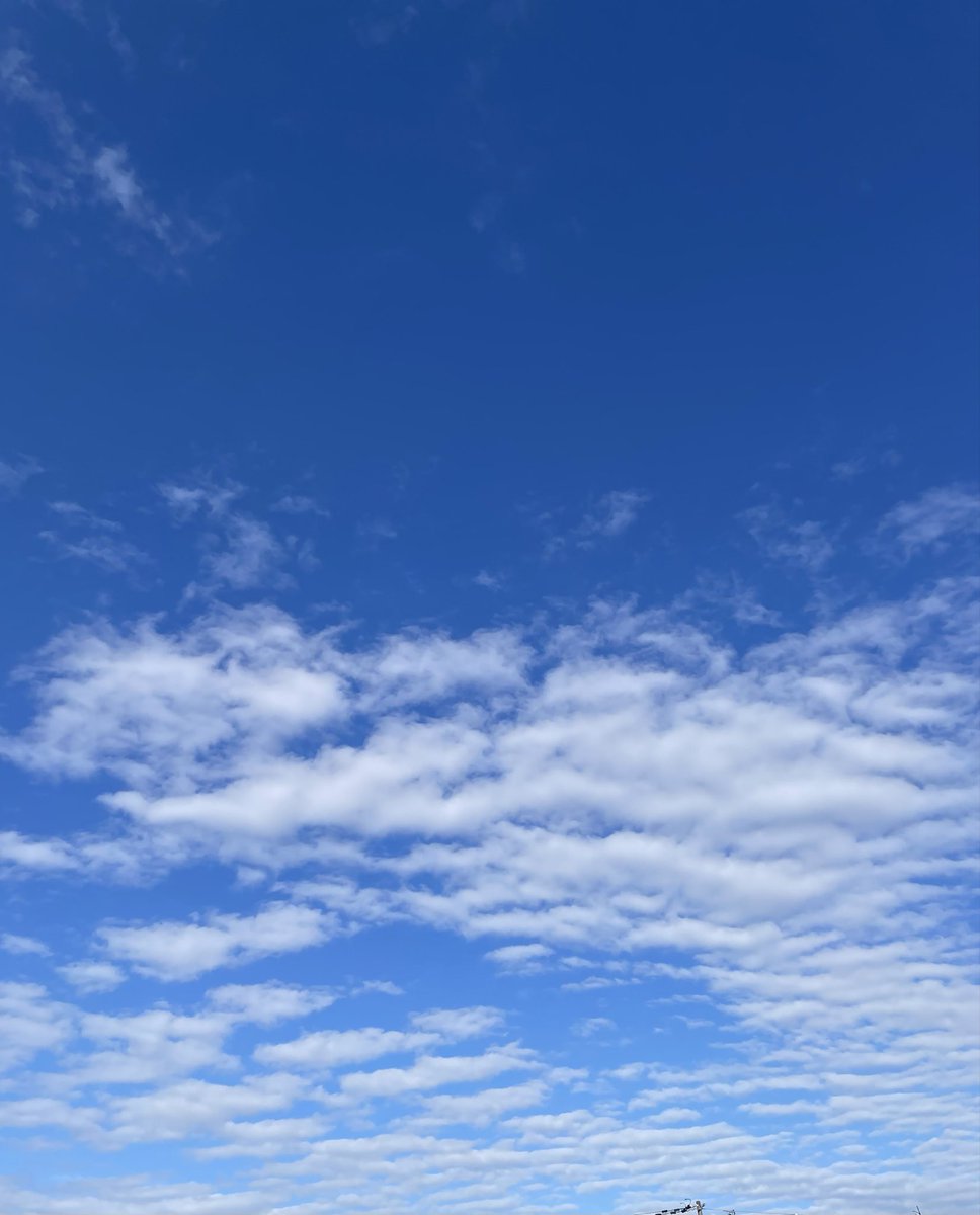 haruiro_08's tweet photo. 今日は、青空で雲はあるけど穏やかなお天気でした🍀

休みだったので、午前中はガソリン入れに行って洗濯して、午後からは彼の日用品を買いに行って、職場に送って（彼仕事）その後はずっと出来てなかったガスコンロと換気扇の掃除してました🧹

あとは、彼が帰ってくるのをゆっくり待ちます😊 https://t.co/4AjKZorfnO