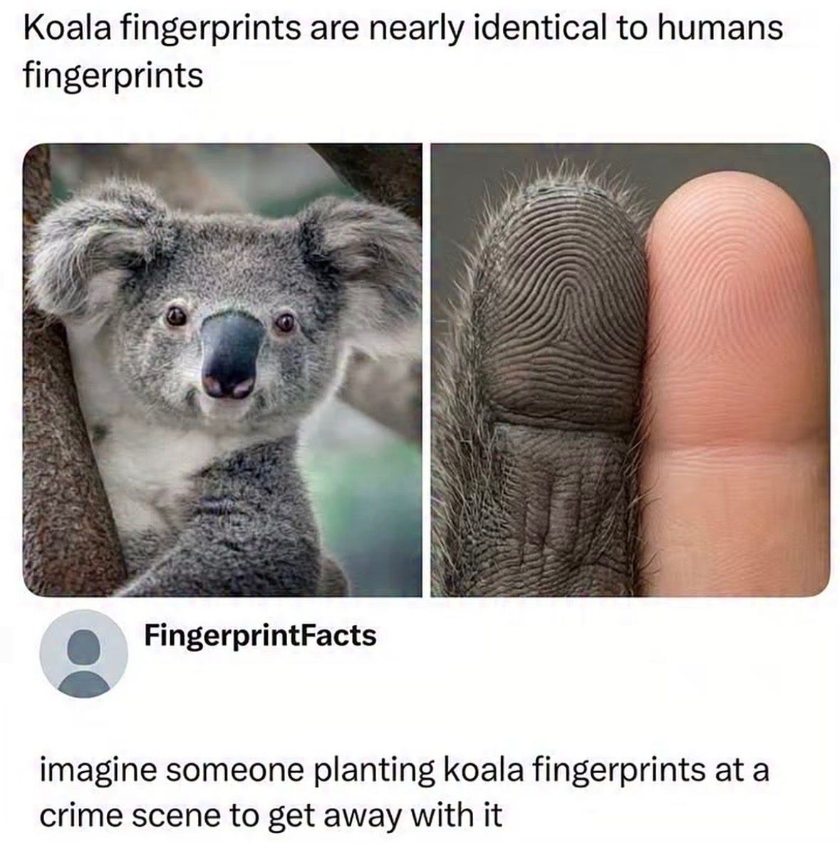 nocontextrepo's tweet photo. https://t.co/kyLt6E8PmT