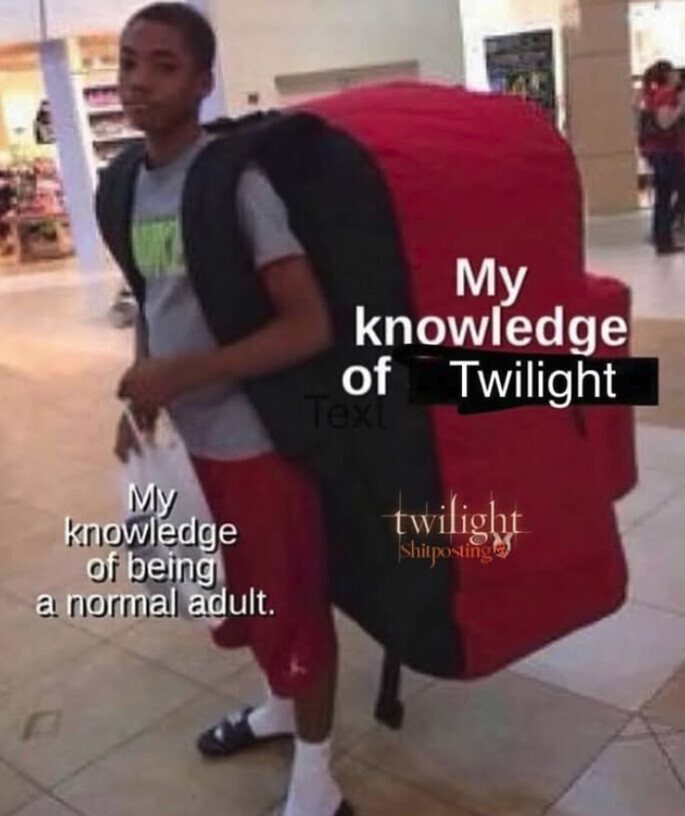 stewbieschanel2's tweet photo. I take the Twilight movies with me wherever I go. https://t.co/qHkiKGYF0b