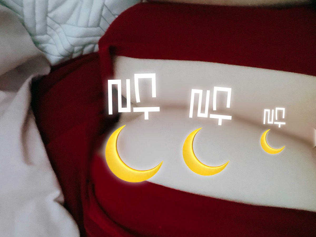 af72ea88c810398's tweet photo. 레드 좋아요🫶🏻
#bbw #뚱뚱 #뚱녀 https://t.co/l7jC4etUuc