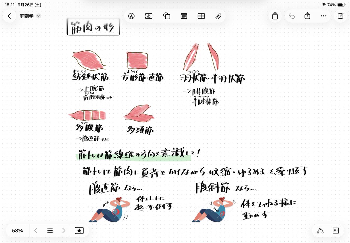 brdcdbr_38's tweet photo. iPad標準搭載のフリーボー��、なかなか良いなぁ。
フリーのイラストも種類多くて良い。
もっと上手に使えると良いなぁ〜 https://t.co/EQyfAEQfcz