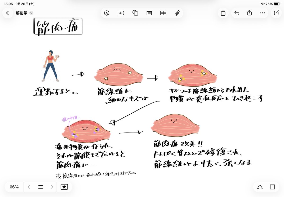 brdcdbr_38's tweet photo. iPad標準搭載のフリーボー��、なかなか良いなぁ。
フリーのイラストも種類多くて良い。
もっと上手に使えると良いなぁ〜 https://t.co/EQyfAEQfcz