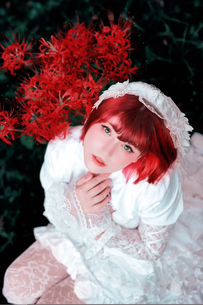 RukirinJP's tweet photo. Spider Lily 🌹 https://t.co/qCNlyClNW8