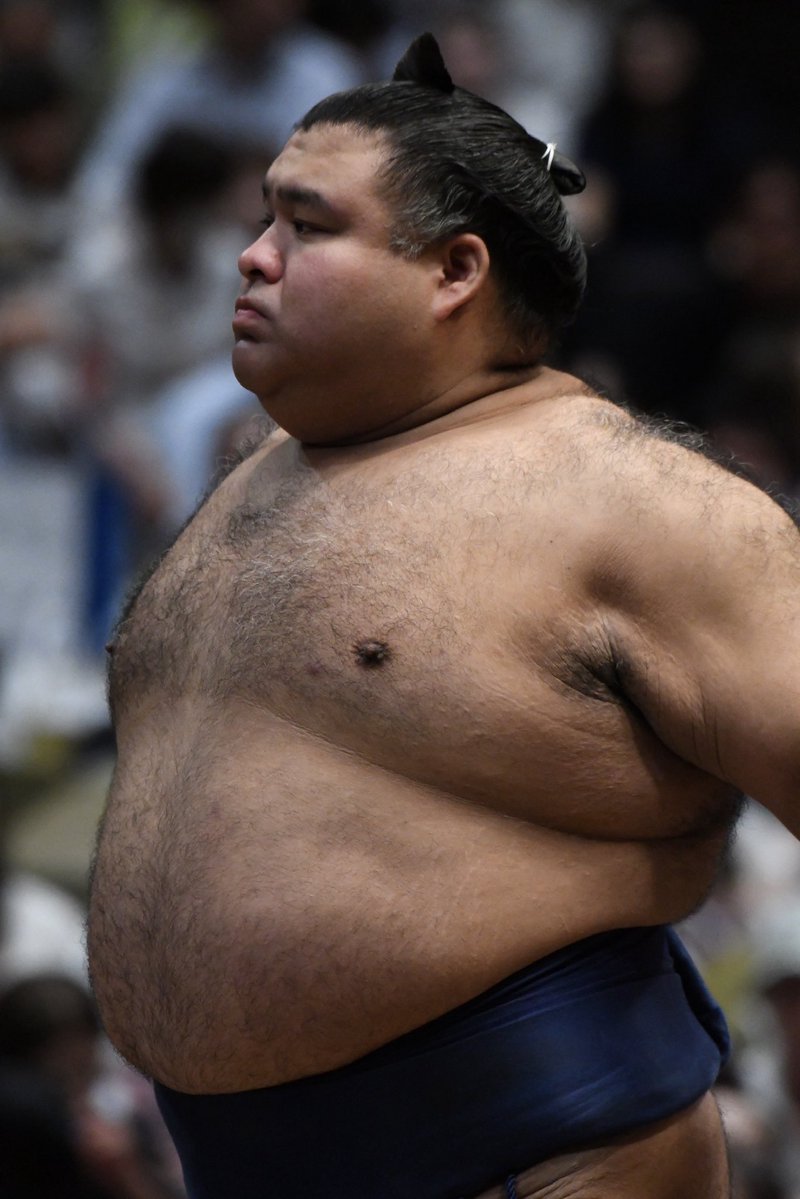sumochankolove's tweet photo. 【2026年9月22日・九月場所（両国）】
髙安関。

#髙安
#sumo
#相撲
#大相撲
#九月場所 
#両国国技館 https://t.co/k6s0NXSlLf
