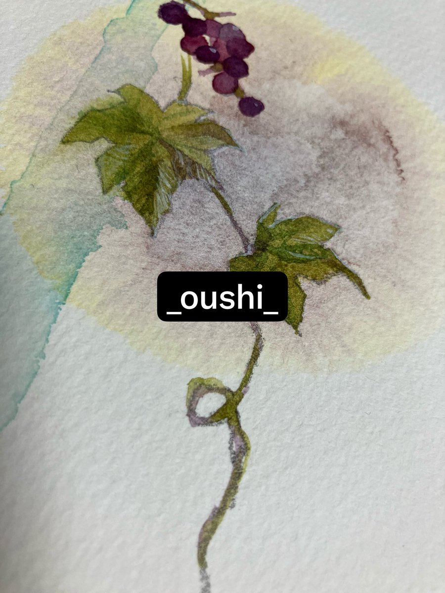 _oushi_ tweet picture