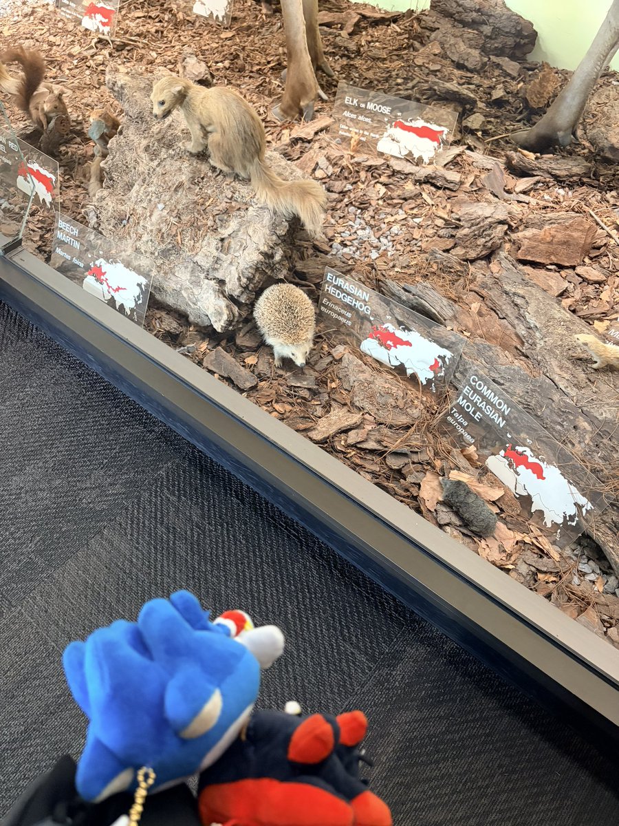 Errenzhuan's tweet photo. 1. Drowning 
2. Meet your earth version
3. #sonadow https://t.co/CYcMyofGgX