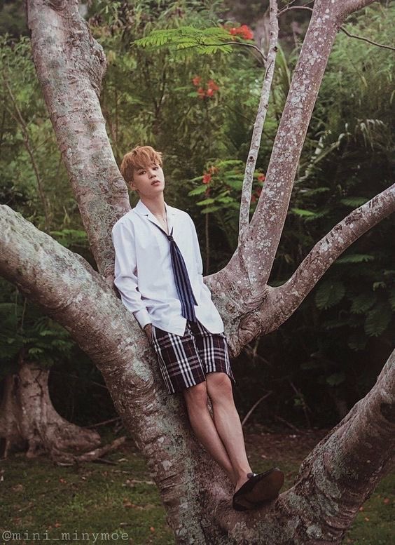 jm_dogs's tweet photo. naturemin, te amo tanto 🫶🏼🌳 https://t.co/Mth34nUF3z