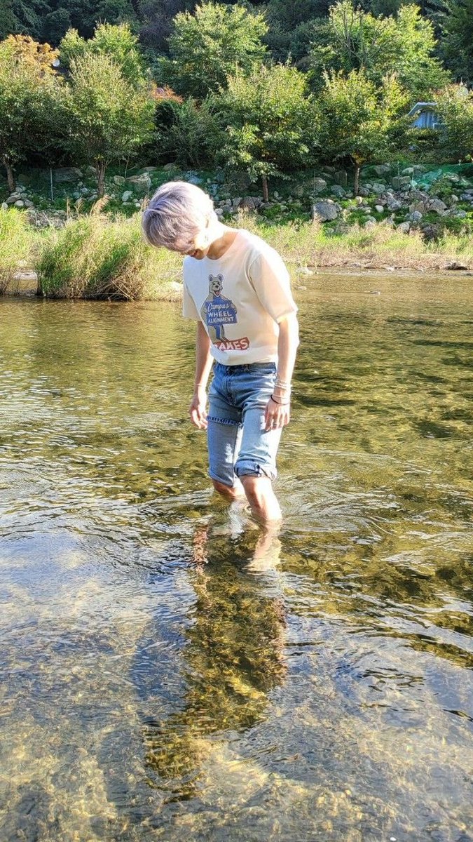 jm_dogs's tweet photo. naturemin, te amo tanto 🫶🏼🌳 https://t.co/Mth34nUF3z