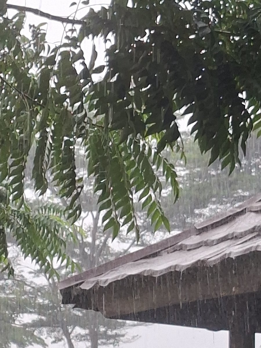 Susumurniadhja's tweet photo. Alhamdulillah, it’s raining again🥹🤍 https://t.co/JEQU6rW66v
