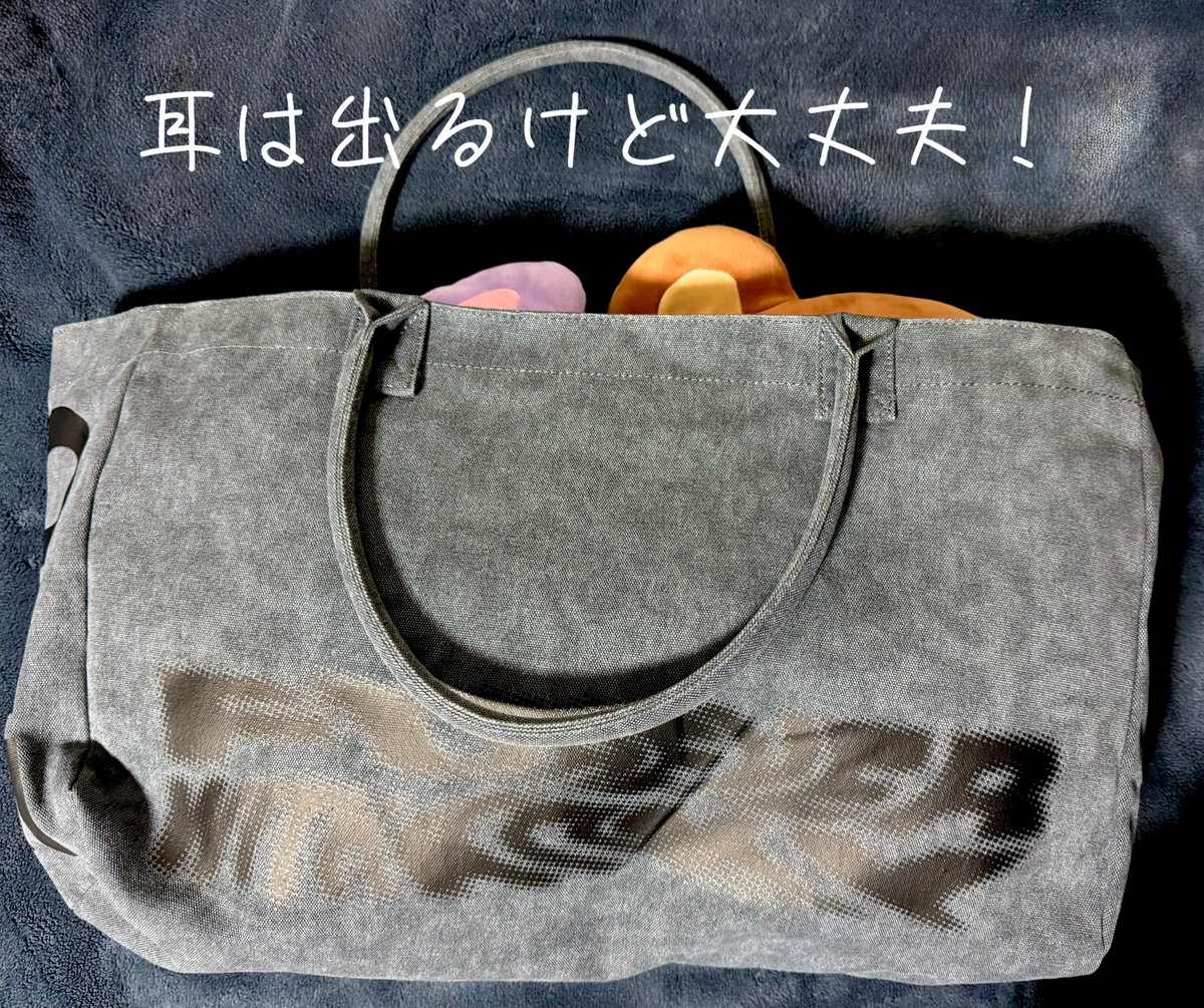 ririn281024's tweet photo. サニのMDカバン
とりあえずクッション入れに良いかも😆
ちょうど持ってる2個入る！！

#ATEEZ https://t.co/iUjDYDeobq