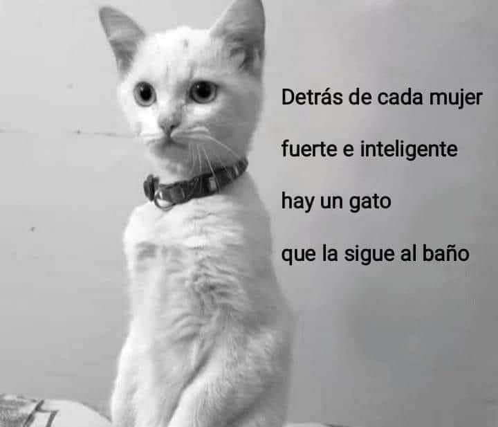 gatuna_Pilar_2's tweet photo. Amén. https://t.co/tj7Y4Vh8rf