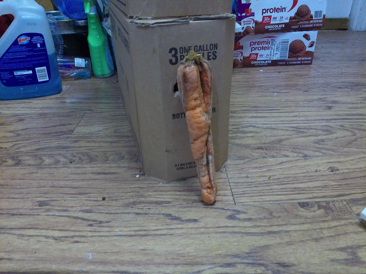 mkgtweety's tweet photo. A COUPLE OF WEEKS AGO, ON A SUNDAY, I WAZ MAKING A POT ROAST🍲W/ MASHED TATERS🥔&amp; CARROTS🥕! &amp; AS I WAZ PEELING🔪MY CARROTS, I FOUND IN THE BAG OF CARROTS THAT I WAZ USING THIS FUNNY-LOOKING #CARROT #CARROTS #VEGGIE #VEGGIES #VEGETABLE #VEGETABLES #WEIRD #WEIRDTHING #WEIRDTHINGS https://t.co/6qjxNO9cJ2