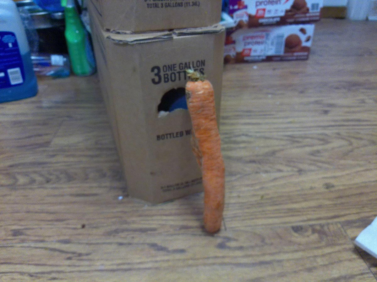 mkgtweety's tweet photo. A COUPLE OF WEEKS AGO, ON A SUNDAY, I WAZ MAKING A POT ROAST🍲W/ MASHED TATERS🥔&amp; CARROTS🥕! &amp; AS I WAZ PEELING🔪MY CARROTS, I FOUND IN THE BAG OF CARROTS THAT I WAZ USING THIS FUNNY-LOOKING #CARROT #CARROTS #VEGGIE #VEGGIES #VEGETABLE #VEGETABLES #WEIRD #WEIRDTHING #WEIRDTHINGS https://t.co/6qjxNO9cJ2