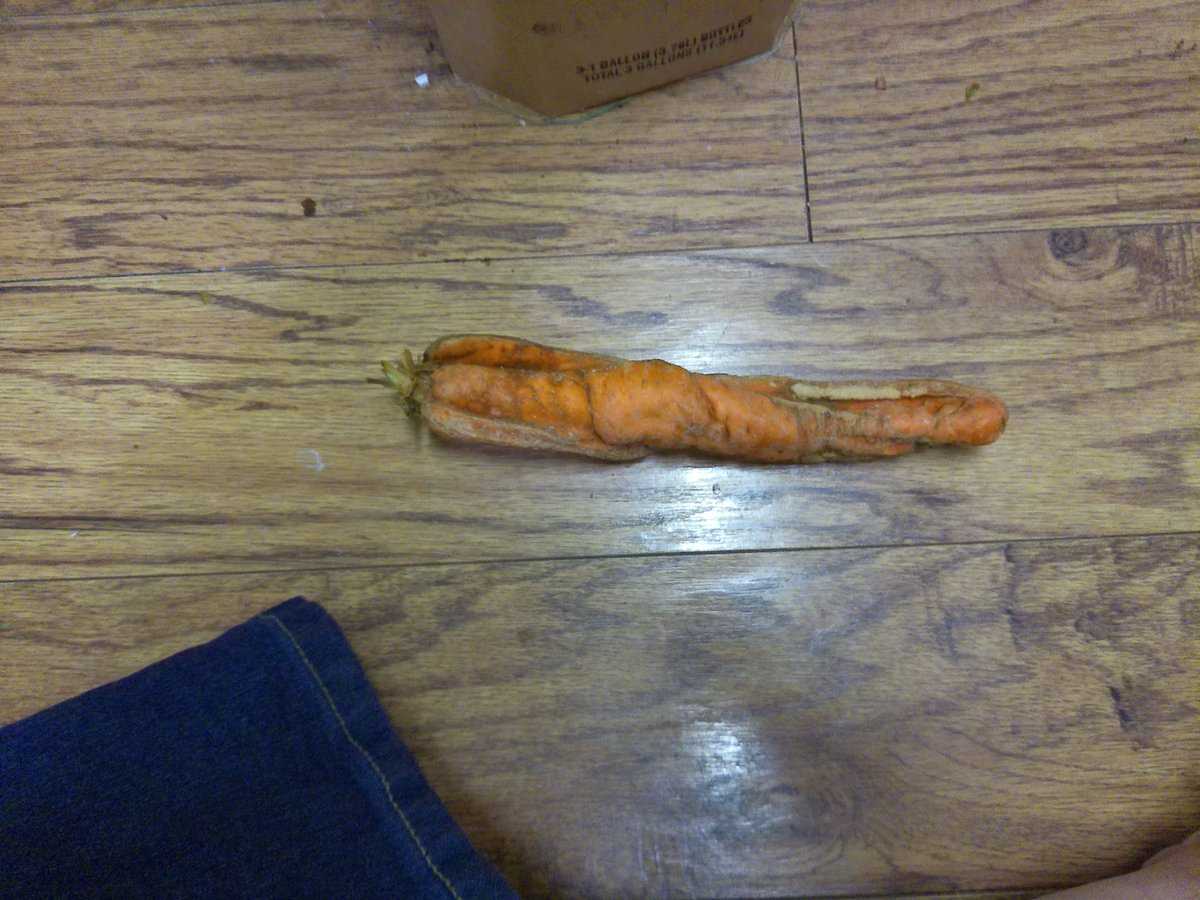 mkgtweety's tweet photo. A COUPLE OF WEEKS AGO, ON A SUNDAY, I WAZ MAKING A POT ROAST🍲W/ MASHED TATERS🥔&amp; CARROTS🥕! &amp; AS I WAZ PEELING🔪MY CARROTS, I FOUND IN THE BAG OF CARROTS THAT I WAZ USING THIS FUNNY-LOOKING #CARROT #CARROTS #VEGGIE #VEGGIES #VEGETABLE #VEGETABLES #WEIRD #WEIRDTHING #WEIRDTHINGS https://t.co/6qjxNO9cJ2