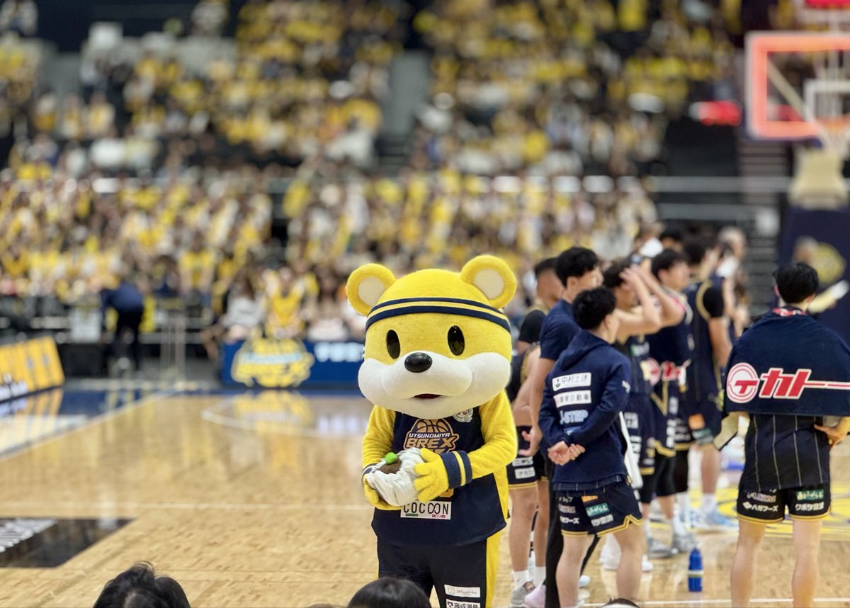 nyanpyow's tweet photo. 試合終了後にやっとコッチに来てくれた🐻
シュウマイを見せびらかし、飽きたのか、色んなところにシュウマイを置いて遊んでいましたw https://t.co/rqZ7zkvnSZ
