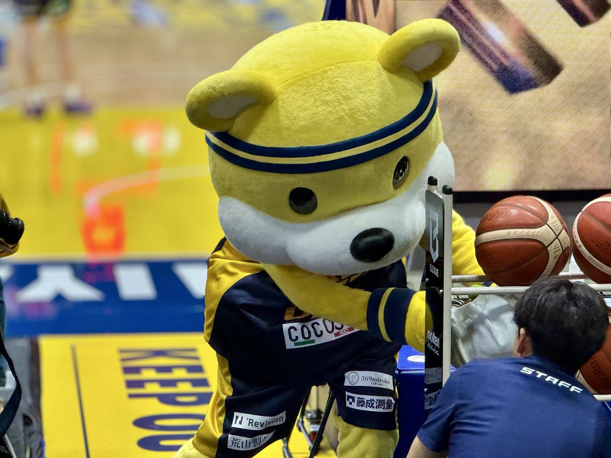 nyanpyow's tweet photo. 試合終了後にやっとコッチに来てくれた🐻
シュウマイを見せびらかし、飽きたのか、色んなところにシュウマイを置いて遊んでいましたw https://t.co/rqZ7zkvnSZ