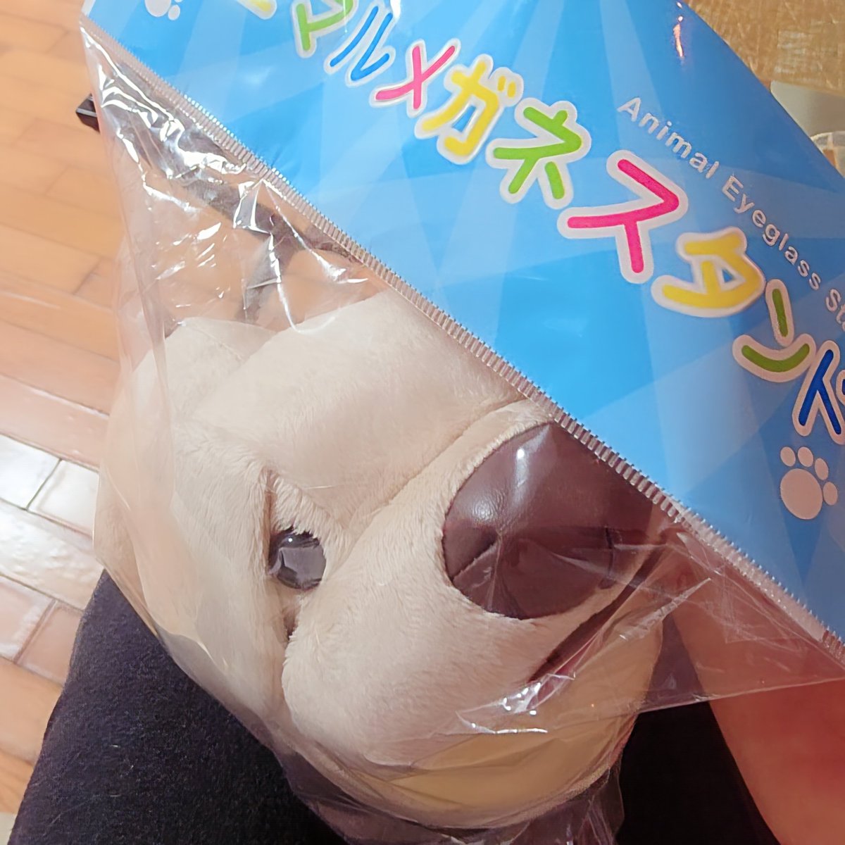 ririka_vxv's tweet photo. 今週も満了ありがとうございました🌸✨

久しぶりにお会いできたお客様方、とても嬉しかったです❣️

「全然出勤しないから、予約できない笑」と多くご意見をいただき、改めて貴重なお時間を合わせて会いに来てくださることが嬉しくなりました🥹💕

今週も楽しいお時間をありがとうございました☺️ https://t.co/63QQEgBAc8