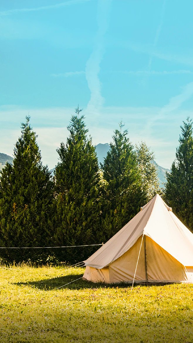 anhjosh458284's tweet photo. Woke up to dewy grass, crisp air, and the soft chirp of birds above my tent—this quiet camping vibe hits different than any city rush.  #CampLife #NatureEscape， https://t.co/i2bfzK15Wv