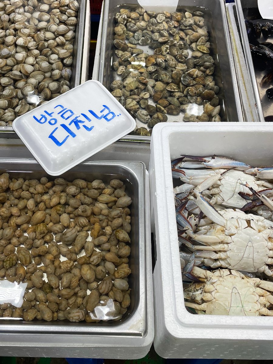 sorry_ynotsorry's tweet photo. 수산시장 왔는데 다들 죽은 꽃게<라는 직설적인 단어를 회피하고계셔서 웃겼음 https://t.co/00pmWtEdmx