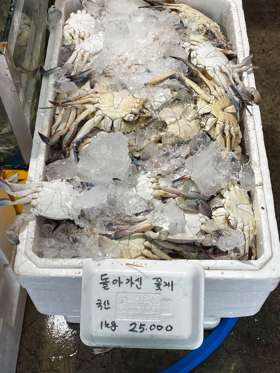 sorry_ynotsorry's tweet photo. 수산시장 왔는데 다들 죽은 꽃게<라는 직설적인 단어를 회피하고계셔서 웃겼음 https://t.co/00pmWtEdmx