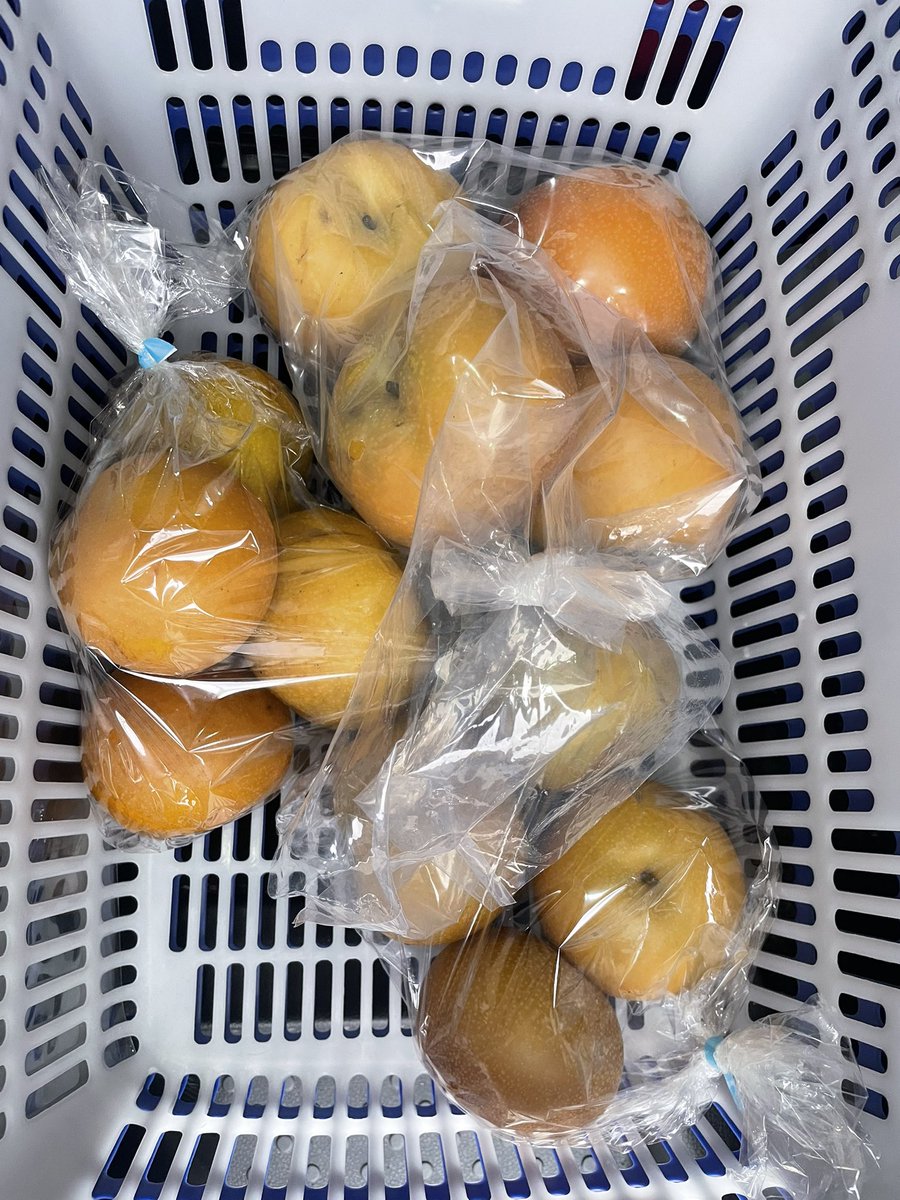 marosuke00's tweet photo. 本日の収穫　うぇーい
イチジク　今年はもう終わりらしい
シャインマスカット　直売所
梨　いつもの直売所
ついでに寿司 https://t.co/qhuDT3ndUn