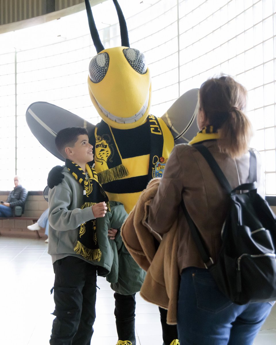 CB1939Canarias's tweet photo. 🙌 Mañana, nos vamos a divertir 😍

🚀 Arranca la @ACBCOM...¡Súper DOMINGO en el Santiago Martín! 

🎟️ ¡Aún puedes comprar tu entrada! ➡️ https://t.co/WGl9Cok9fX https://t.co/xUpAoQXfwt