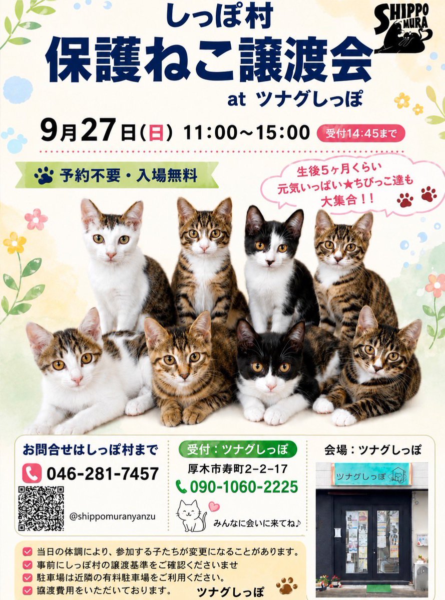 shippomura's tweet photo. 明日27日の譲渡会に参加する猫たちのツイキャスです

14頭の子ネコが参加予定です（体調により変更があることをご了承下さい🙇‍♀️）

がんばって生きてきた子猫たちに幸せになってほしい🍀

ぜひ会場にお越しになって実際に会ってみてくださいね

お待ちしております✨ https://t.co/Wtchy0glOE