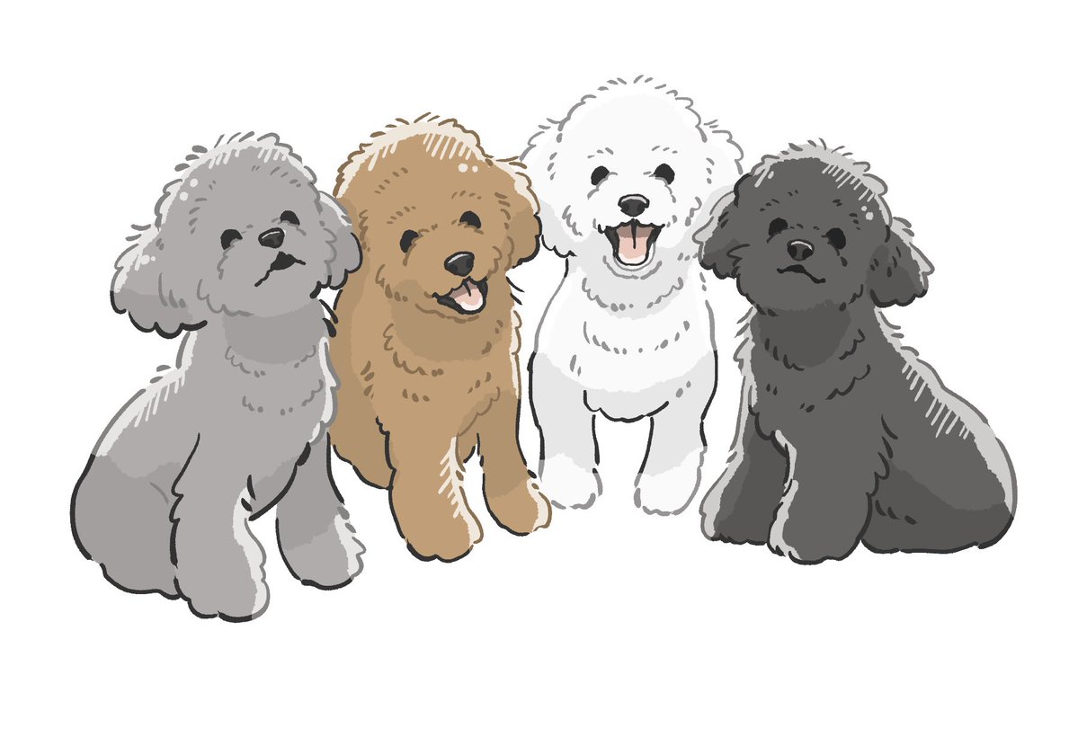 chikchikuni's tweet photo. トイプーズ。

#犬 #トイプードル #イラスト https://t.co/qrXUkiwubc