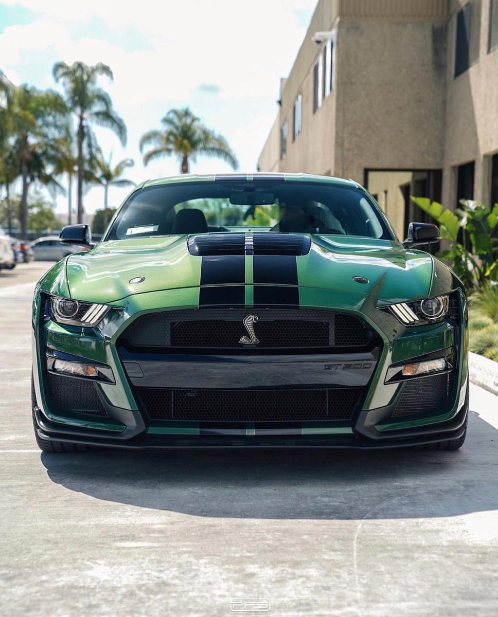 Cobra3dD's tweet photo. “ Shelby Saturday “  💚🖤💚 https://t.co/ePSco0UToh
