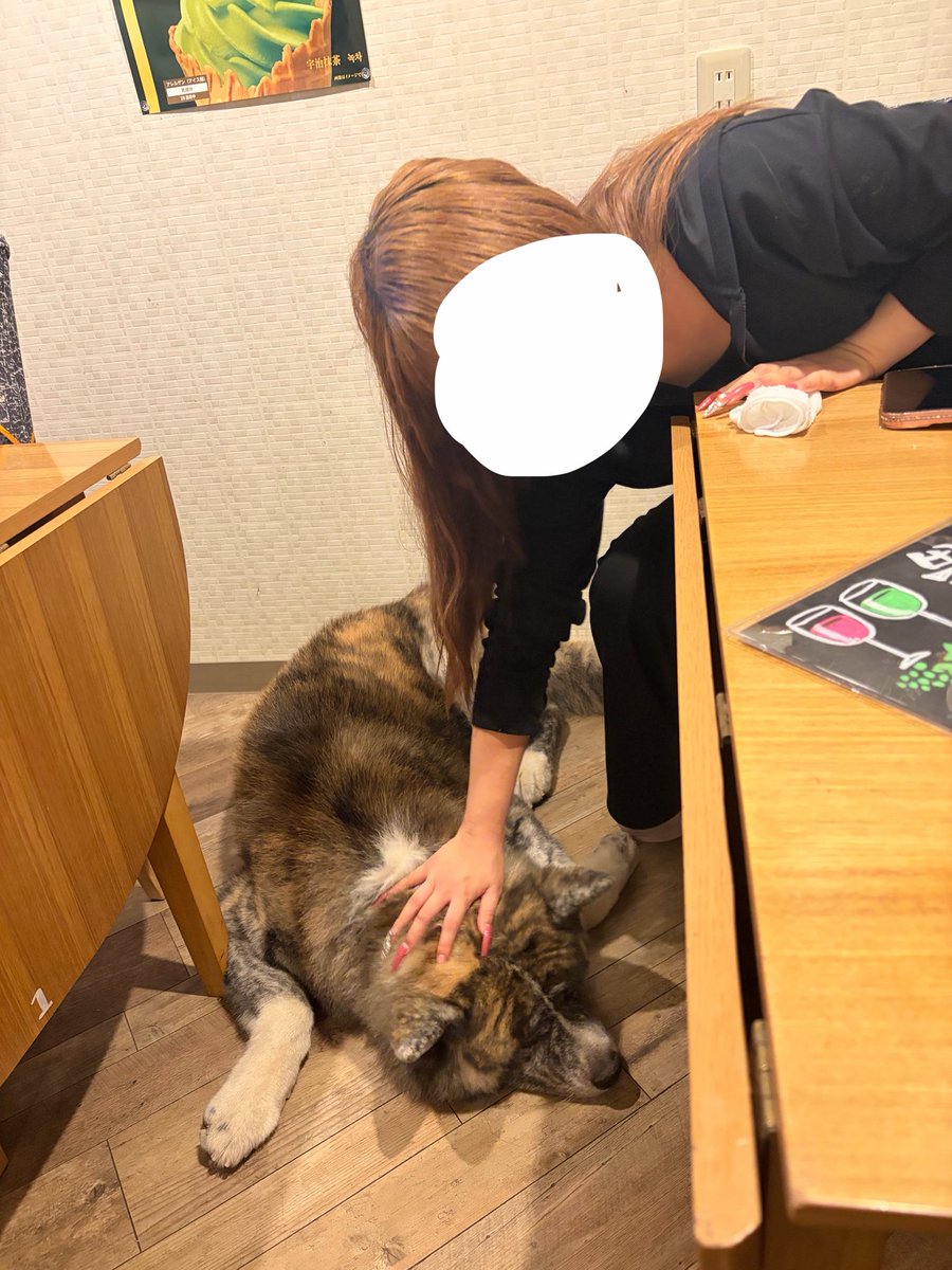 mint_machi's tweet photo. 幸せ🥰 https://t.co/NBHQ6y9qRN
